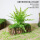 30厘米青苔树皮花器+20叶金丝蕨