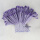 zx(紫色斑马纹)尼龙十三针24双