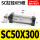 SC50X300 进气口2分