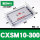 CXSM10-300