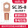 SC35-8本色50只