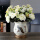白底孔雀花瓶+3束绿白松果玫瑰