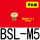 平头型BSL-M5 接口M5