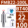 BT40FMB22100