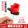 【25ml油】+1支红色玫瑰