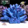 蓝色扇形珊瑚