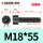 M18*55全(15支)