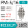 PM-5/16(10只)