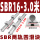 SBR16-3.0米(两轨 四滑块)