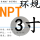 环规 NPT 3