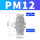 PM12(白帽)