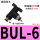 BUL-6（10件）