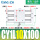 CDY1L10100