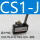 CS1-J