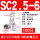 SC2.5-6(100只)