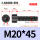 M20*45全(15支)