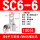 SC6-6 (100只)