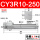 CY3R10-250