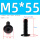 M5*55 (10个)