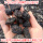 2-3cm粗的黑色火山石1斤-买3送1