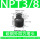 NPT3/8 （10个）