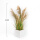 天然芦苇原色1.1米+白方盆