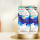 2瓶装牛奶花香480ml