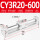 CY3R20600