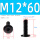 M12*60 (2个)