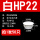 白HP-22MM (20只