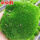 朵朵苔藓孢子粉11.9克