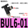 BUL6-01（10件）