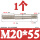 M20*55