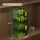 镜柜收纳盒-首饰款透明绿