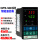 XMTE-5212 PT100 400℃(继电器)