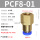 蓝 PCF8-01 (5个)