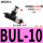 BUL-10小体（10件）