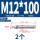 304-M12*100(2颗)