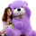 紫色泰迪熊