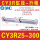 CY3R25-300