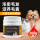 犬猫专用卵磷脂/300g/瓶