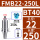 BT40-FMB22-250