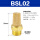 BSL02