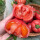 普罗旺斯西红柿6棵【鲜嫩多汁】