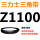 Z(O)1100 Li