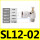 SL12-02