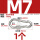 M7带母型1只