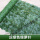 深色   绿萝叶(1米×1米) +扎带
