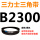 B2300 Li