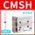 CMSH020
